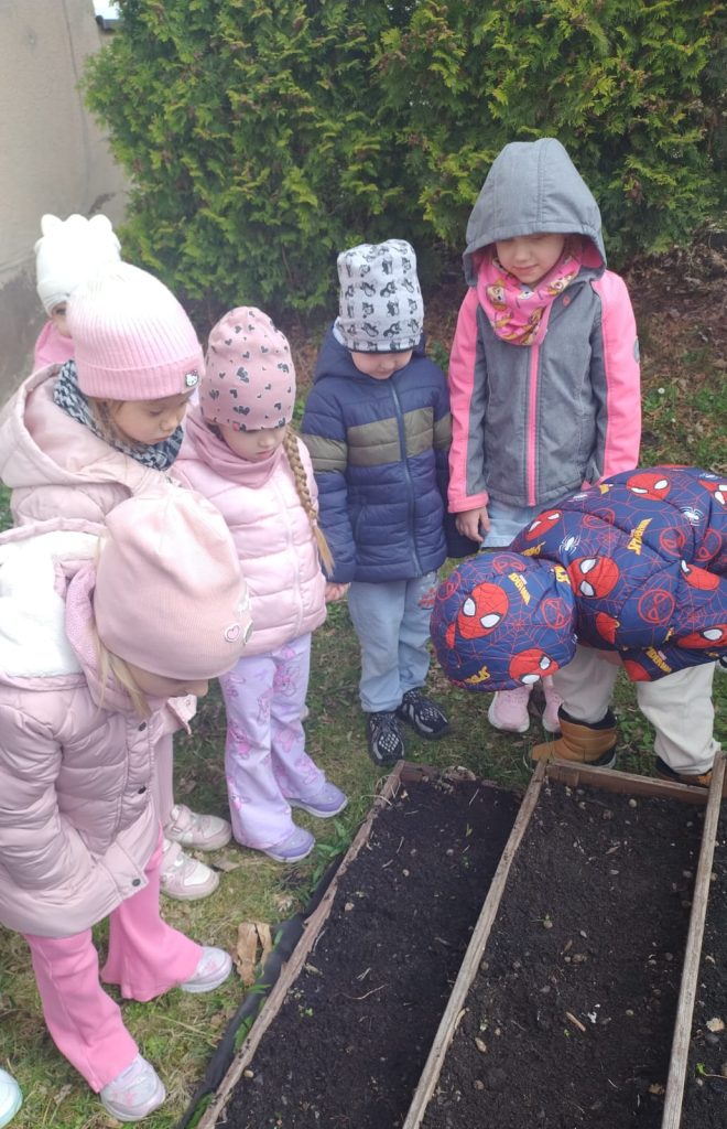 Pierwsze sadzonki w naszym ogrodzie.